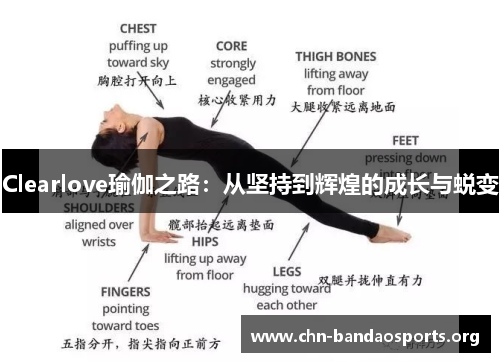 Clearlove瑜伽之路：从坚持到辉煌的成长与蜕变
