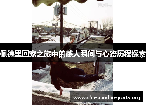 佩德里回家之旅中的感人瞬间与心路历程探索