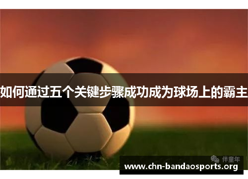 如何通过五个关键步骤成功成为球场上的霸主 如何通过五个关键步骤成功成为球场上的霸主