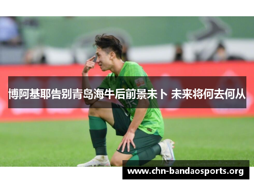 博阿基耶告别青岛海牛后前景未卜 未来将何去何从 博阿基耶告别青岛海牛后前景未卜 未来将何去何从