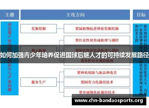 如何加强青少年培养促进国球后继人才的可持续发展路径