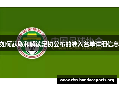 如何获取和解读足协公布的准入名单详细信息
