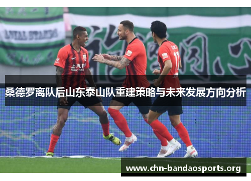 桑德罗离队后山东泰山队重建策略与未来发展方向分析 桑德罗离队后山东泰山队重建策略与未来发展方向分析