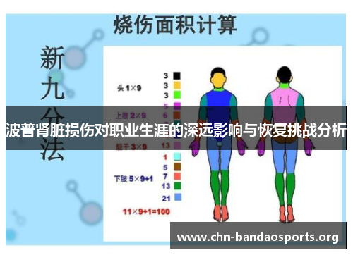 波普肾脏损伤对职业生涯的深远影响与恢复挑战分析 波普肾脏损伤对职业生涯的深远影响与恢复挑战分析
