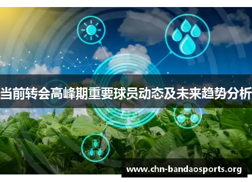 当前转会高峰期重要球员动态及未来趋势分析 当前转会高峰期重要球员动态及未来趋势分析