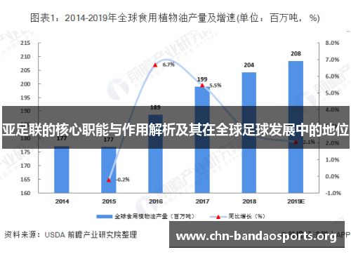 亚足联的核心职能与作用解析及其在全球足球发展中的地位