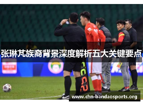 张琳芃族裔背景深度解析五大关键要点