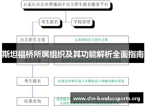 斯坦福桥所属组织及其功能解析全面指南 斯坦福桥所属组织及其功能解析全面指南