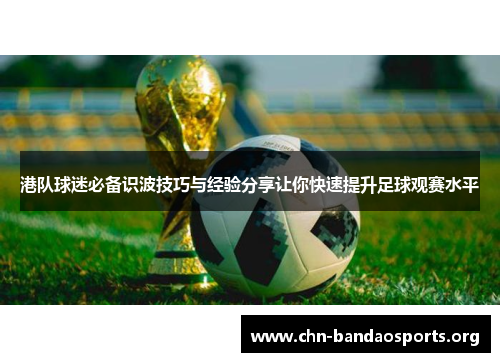 港队球迷必备识波技巧与经验分享让你快速提升足球观赛水平 港队球迷必备识波技巧与经验分享让你快速提升足球观赛水平