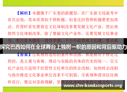 探究巴西如何在全球舞台上独树一帜的原因和背后驱动力 探究巴西如何在全球舞台上独树一帜的原因和背后驱动力