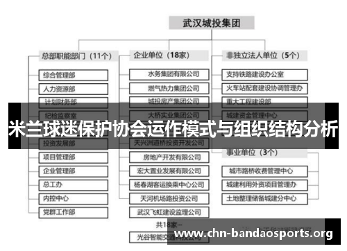 米兰球迷保护协会运作模式与组织结构分析 米兰球迷保护协会运作模式与组织结构分析