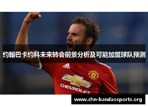 约翰巴卡约科未来转会前景分析及可能加盟球队预测 约翰巴卡约科未来转会前景分析及可能加盟球队预测