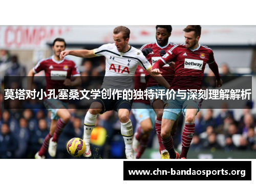 莫塔对小孔塞桑文学创作的独特评价与深刻理解解析 莫塔对小孔塞桑文学创作的独特评价与深刻理解解析