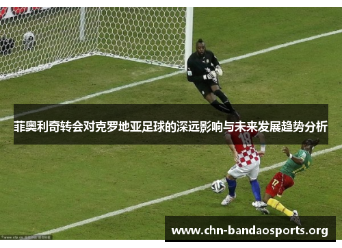 菲奥利奇转会对克罗地亚足球的深远影响与未来发展趋势分析 菲奥利奇转会对克罗地亚足球的深远影响与未来发展趋势分析