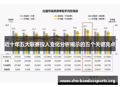 近十年五大联赛投入变化分析揭示的五个关键亮点 近十年五大联赛投入变化分析揭示的五个关键亮点