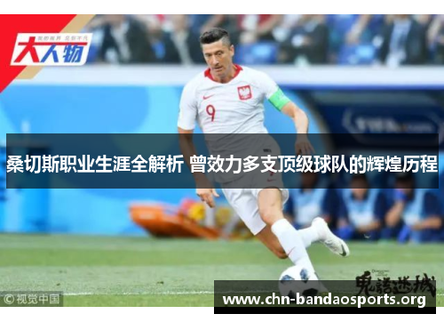桑切斯职业生涯全解析 曾效力多支顶级球队的辉煌历程 桑切斯职业生涯全解析 曾效力多支顶级球队的辉煌历程